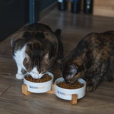 Nordic cat bowls set Figaro Cats Store