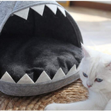 CAT SHARK CAVE Figaro Cats Store