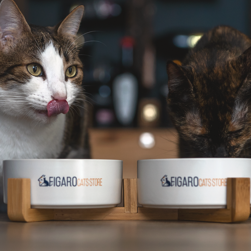 Nordic cat bowls set Figaro Cats Store
